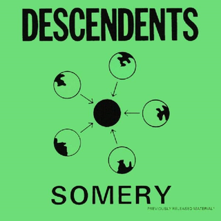 Descendents - Somery black 2LP