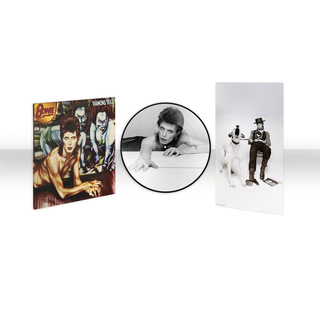 David Bowie - Diamond Dogs (50th Anniversary) PRE-ORDER picture LP