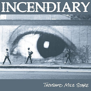 Incendiary - thousand mile stare black blue white marbled LP