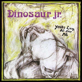 Dinosaur Jr. - Youre Living All Over Me