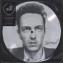 Joe Strummer - Junco Partner (Acoustic) RSD SPECIAL