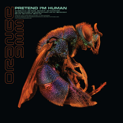 Orange 9mm - Pretend Im Human