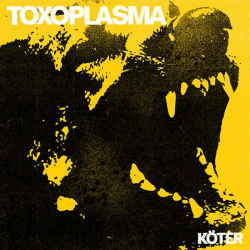 Toxoplasma  - Köter