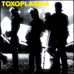 Toxoplasma  - Same