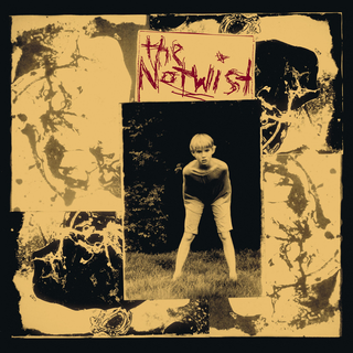 Notwist, The - The Notwist 30-Years Special Edition