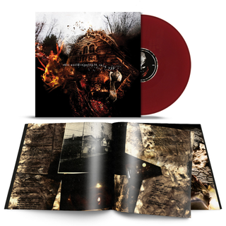 Vein.FM - This World Is Going To Ruin You red LP