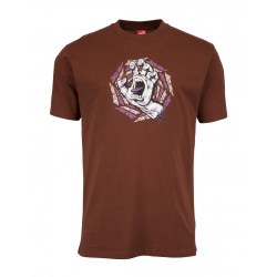 Santa Cruz - Spiral Strip Hand T-Shirt sepia brown