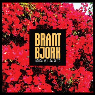 Brant Bjork - Bougainvillea Suite ltd half black half orange splatter LP
