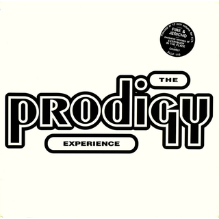 Prodigy, The - Experience