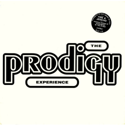 Prodigy, The - Experience