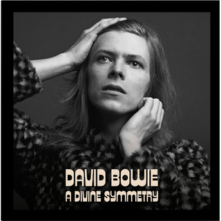 David Bowie - A Divine Symmetry180g black LP