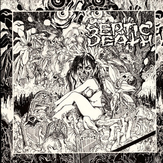 Septic Death - Now That I Have The Attention What Do I Do With It? LP