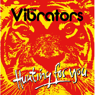 Vibrators, The - Hunting For You
