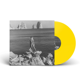 American Nightmare - Dedicated To The Next World REVELATION EXCLUSIVE yellow 10
