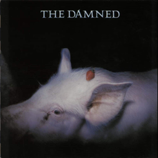 Damned, The - Strawberries