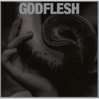 Godflesh - Purge silver LP
