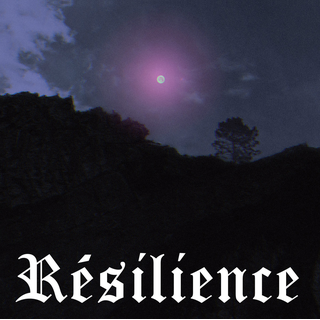 Resilience - Same black 7