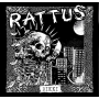 Rattus - Rikki