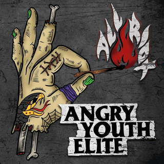 Angry Youth Elite - All Riot CD