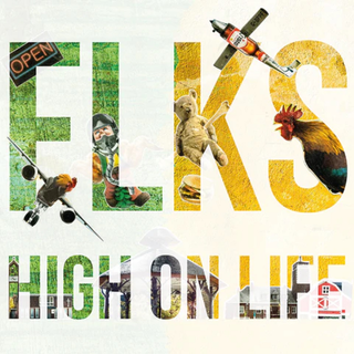 FLKS - High On Life (damaged) LP