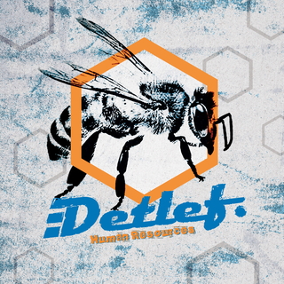 Detlef - Human Resources Digisleeve CD