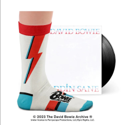 Sock Affairs - Aladdin Sane Socks