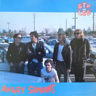Angry Samoans - STP Not LSD color LP
