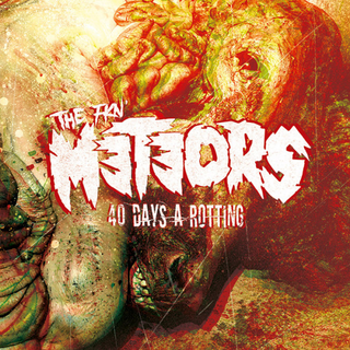Meteors, The - 40 Days A Rotting black LP