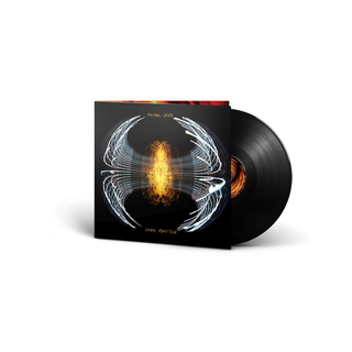 Pearl Jam - Dark Matter black LP