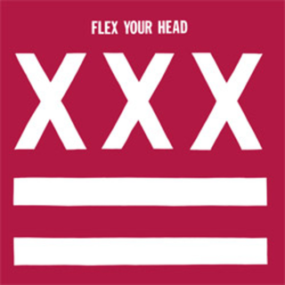 V/A - Flex Your Head white LP