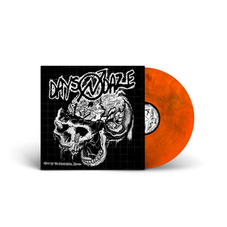 Days N Daze - Show Me The Blueprints. Demo. PRE-ORDER dirty orange LP