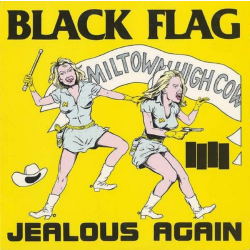 Black Flag - Jealous Again