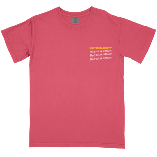 Berthold City - Where Did We Go Wrong? T-Shirt crimson PRE-ORDER