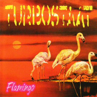 Turbostaat - Flamingo PRE-ORDER