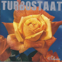 Turbostaat - Schwan PRE-ORDER