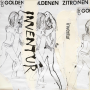 Goldenen Zitronen, Die - Inventur (1984 - 2024) PRE-ORDER