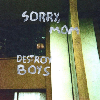 Destroy Boys - Sorry, Mom (Reissue) PRE-ORDER