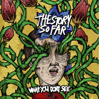 The Story So Far - What You Dont See