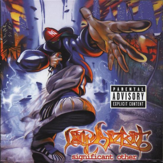 Limp Bizkit - Significant Other