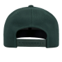 Coretex - Nails Snapback spruce