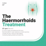 Haermorrhoids, The - Treatment PRE-ORDER