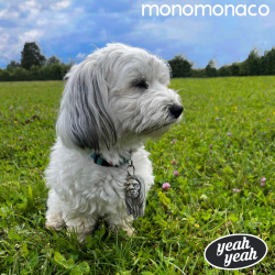 monomonaco - Yeah Yeah PRE-ORDER