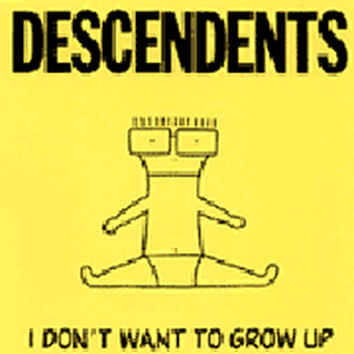 Descendents - I Dont Want To Grow Up LP