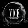 Vice, The - get down, stay down