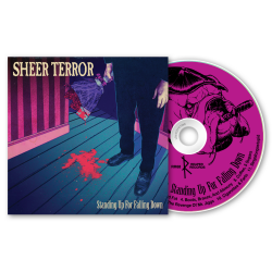 Sheer Terror - Standing Up For Falling Down