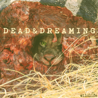 Dead & Dreaming - wildlife