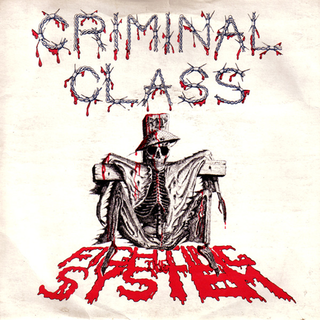 Criminal Class - fighting the system
