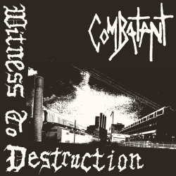 Combatant - witness to destruction