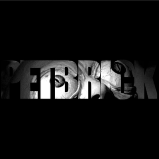 Petbrick - same