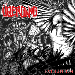 Übergang - evolution